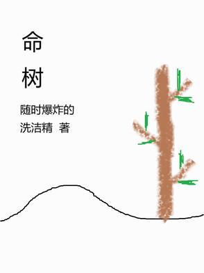 命树旁边种什么好