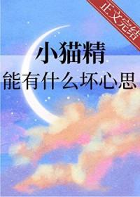 你知道猫精灵吗