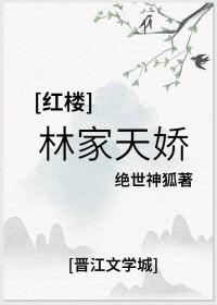 红楼同人林家贵妾母凭子