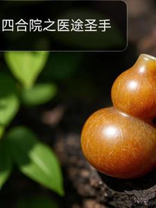四合院妇科圣手