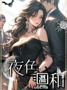 夜色温柔讲的是什么