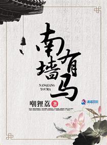 南墙指的什么
