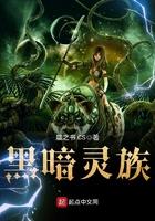 黑暗灵魂师