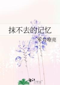 抹不去的回忆500字作文