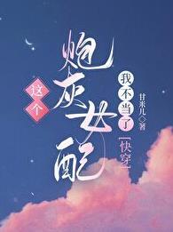 这个炮灰我不当txt