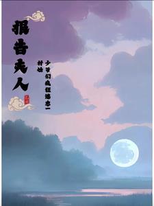 报告夫人全文免费阅读