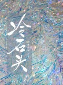 冷石头by四棱镜讲了什么