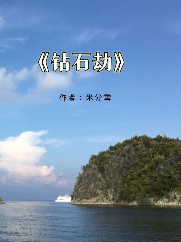 钻石劫案详情解析