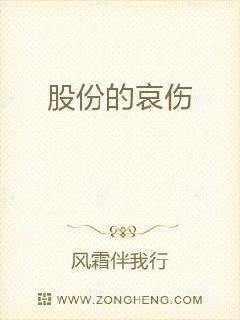 股份怎么说
