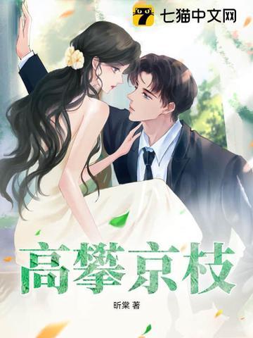 高攀京枝txt