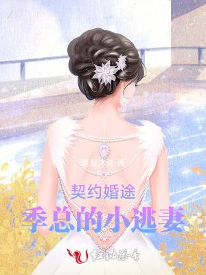 契约总裁闪婚妻免费阅读