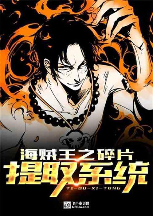 海贼之碎片提取系统免费阅读