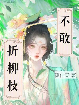 折柳枝夏挽月