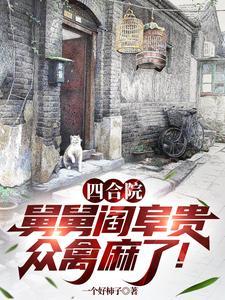 四合院 主人身份