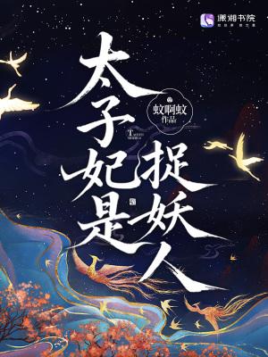 太子妃手段