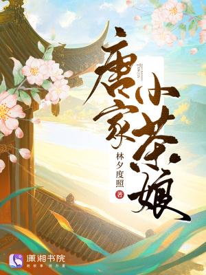 唐家小主百度百科