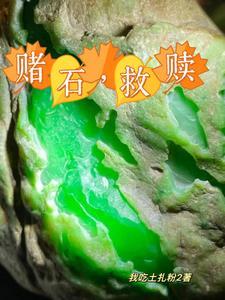 毛料是啥意思