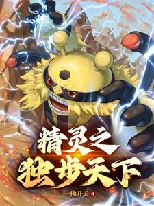 精灵宝可梦之登神长街一佛升天