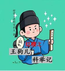 红楼之王狗儿科举记全文阅读