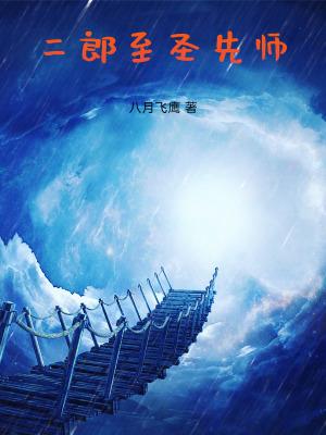 二郎至圣先师起点