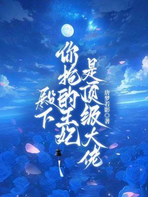 殿下你抢的王妃是顶级大佬免费阅读