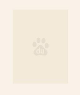 绝世炼丹师纨绔九小姐百度