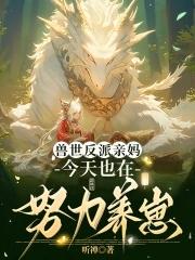 穿成恶毒夫郎养家记by