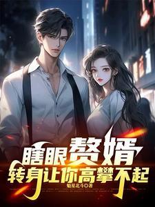 赘婿 玷污