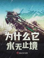 为什么它永无止境多少字