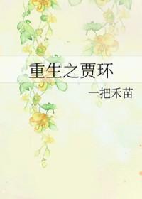 重生贾环的有哪些