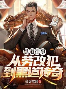 黑道往事之20年